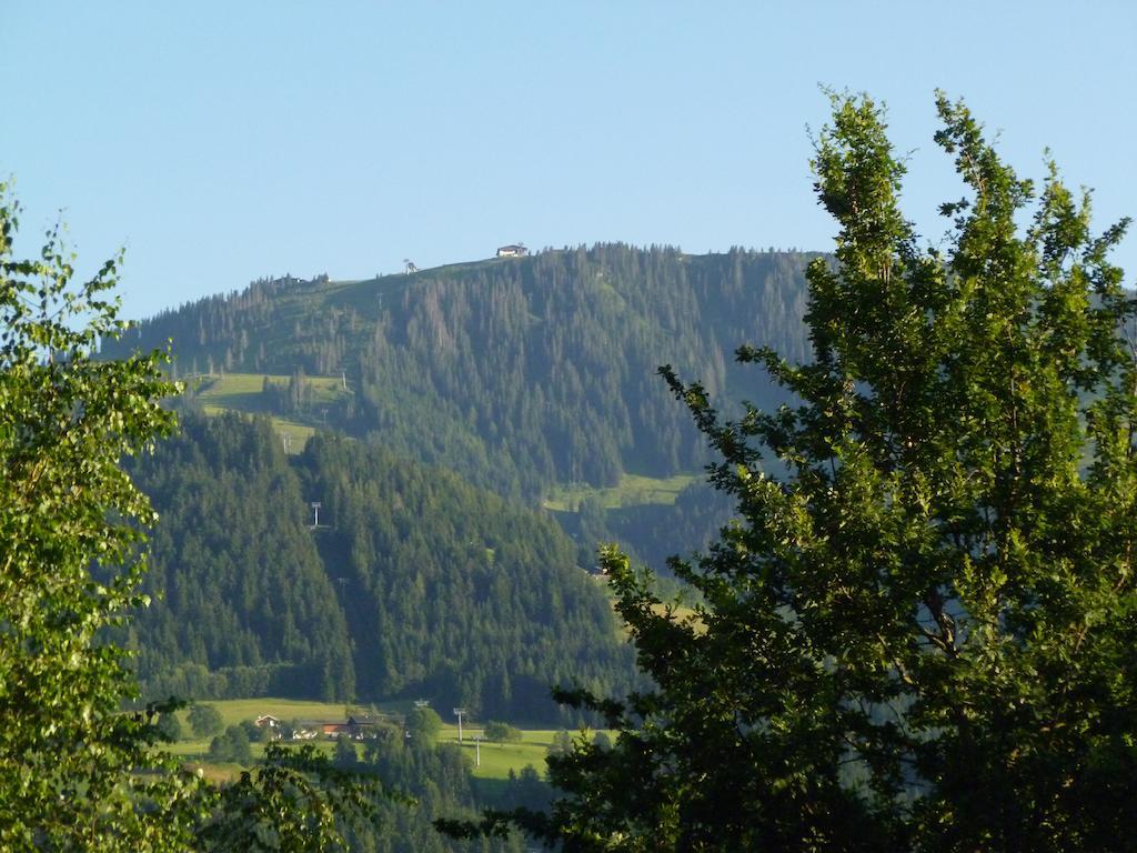 Bergfrieden Apartment Scheffau am Wilden Kaiser Ngoại thất bức ảnh